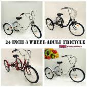 Tricyle adulte 24 pouces