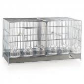 Cage oiseaux concours - 60x26x38cm