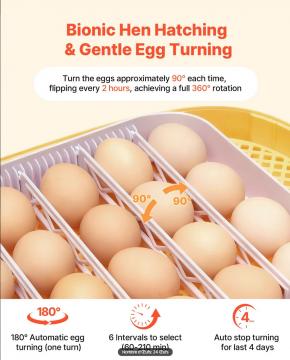 Capture d’écran 2026-02-27 à 18