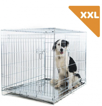 XXL-2