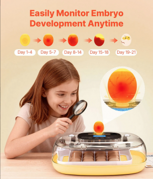 Capture d’écran 2026-02-27 à 18