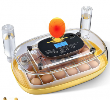 Capture d’écran 2026-02-27 à 18