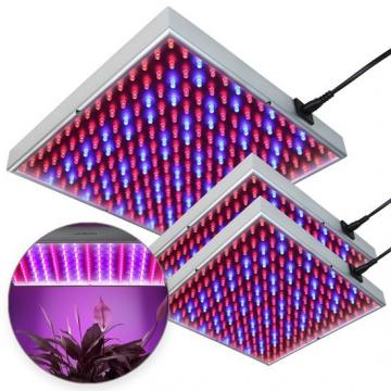 Led horticole