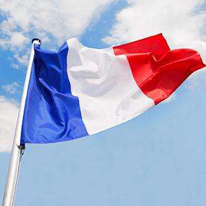 Drapeau français - mat pour drapeau - mat drapeau