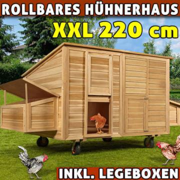 Poulailler 4 poules en bois solide, mobile, déco et pas cher