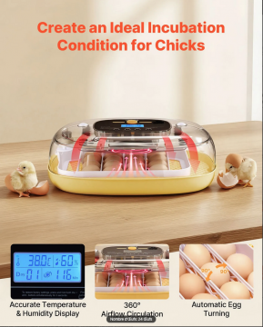 Capture d’écran 2026-02-27 à 18