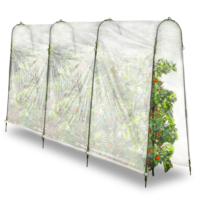 Serre a tomate tunnel tomate abri tomate