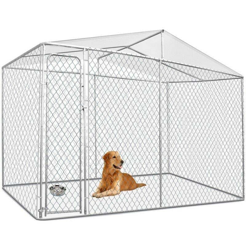 petit chenil pour chien