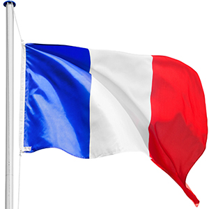 Dantolo Mât de Drapeau Télescopique 3 m Mât de Drapeau avec 4